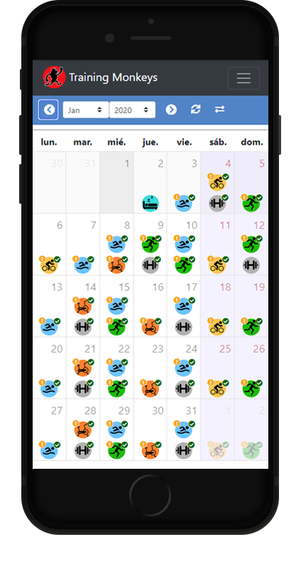 Training Monkeys | Calendario Mensual
